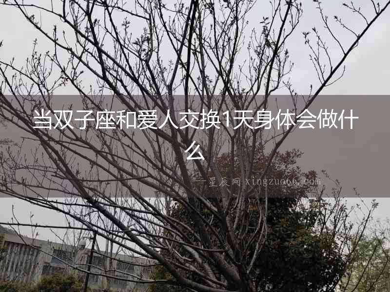 當雙子座和愛人交換1天身體會做什么