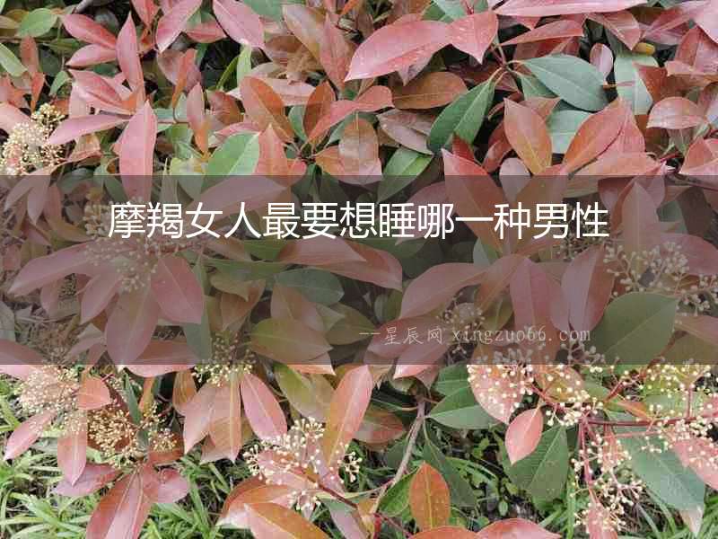 摩羯女人最要想睡哪一種男性