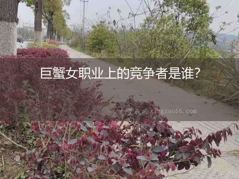 巨蟹女職業上的競爭者是誰？