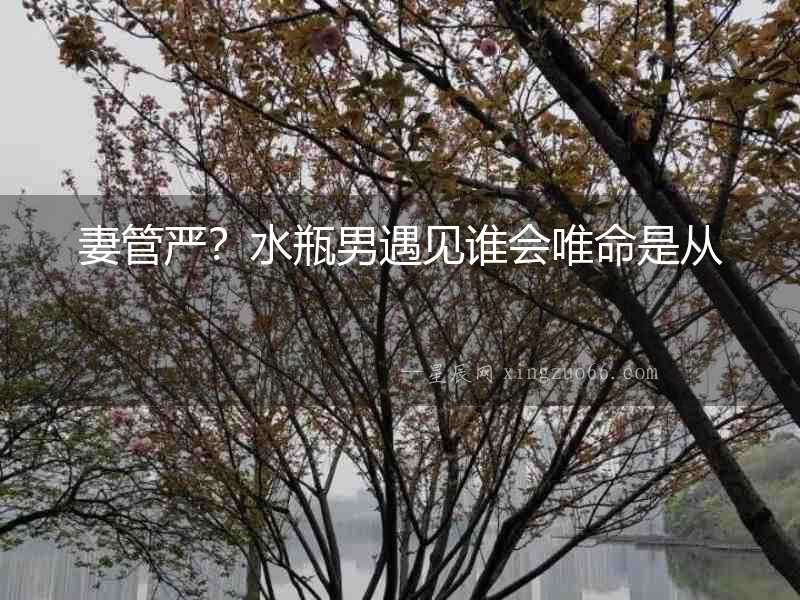 妻管嚴？水瓶男遇見誰會唯命是從