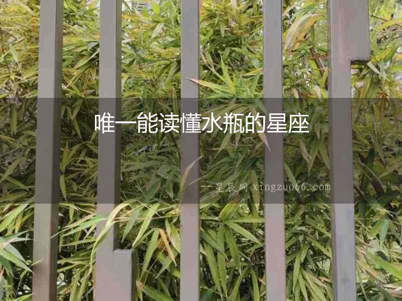 唯一能讀懂水瓶的星座