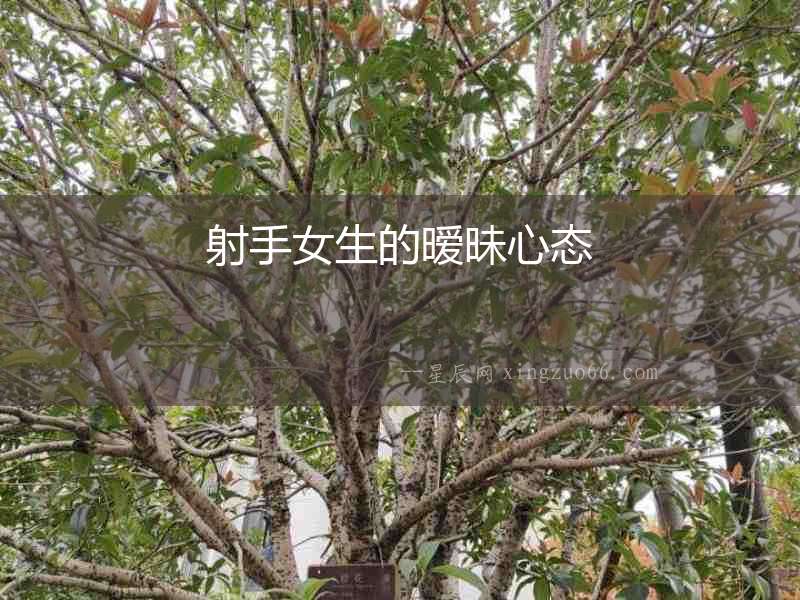 射手女生的曖昧心態