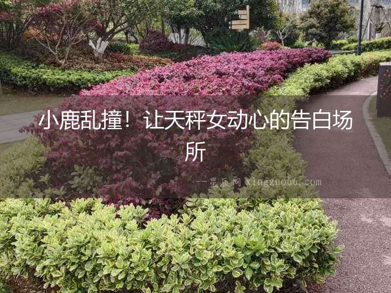 小鹿亂撞！讓天秤女動心的告白場所