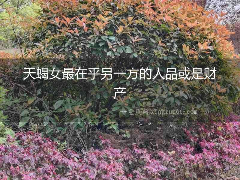 天蝎女最在乎另一方的人品或是財產