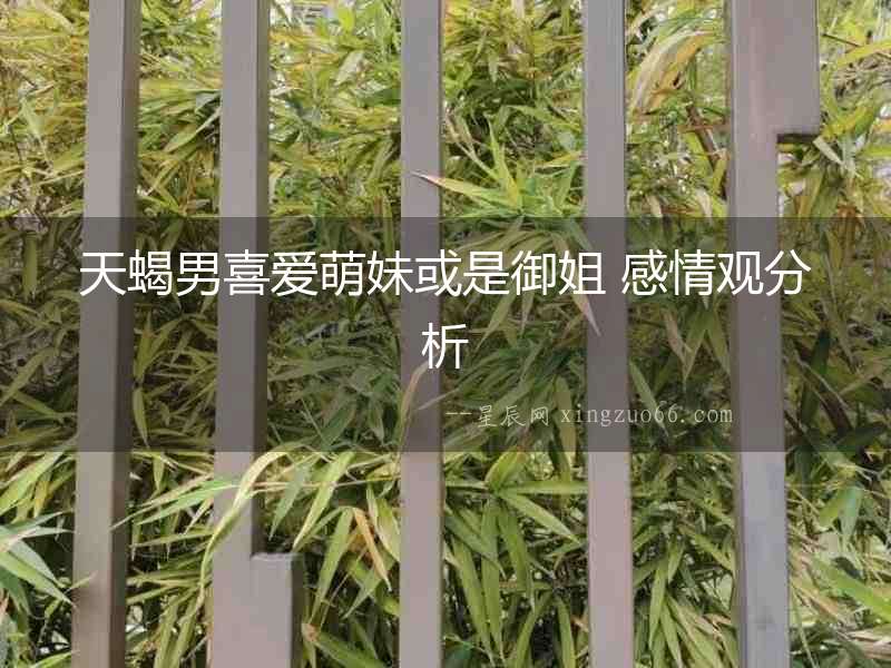 天蝎男喜愛萌妹或是御姐 感情觀分析
