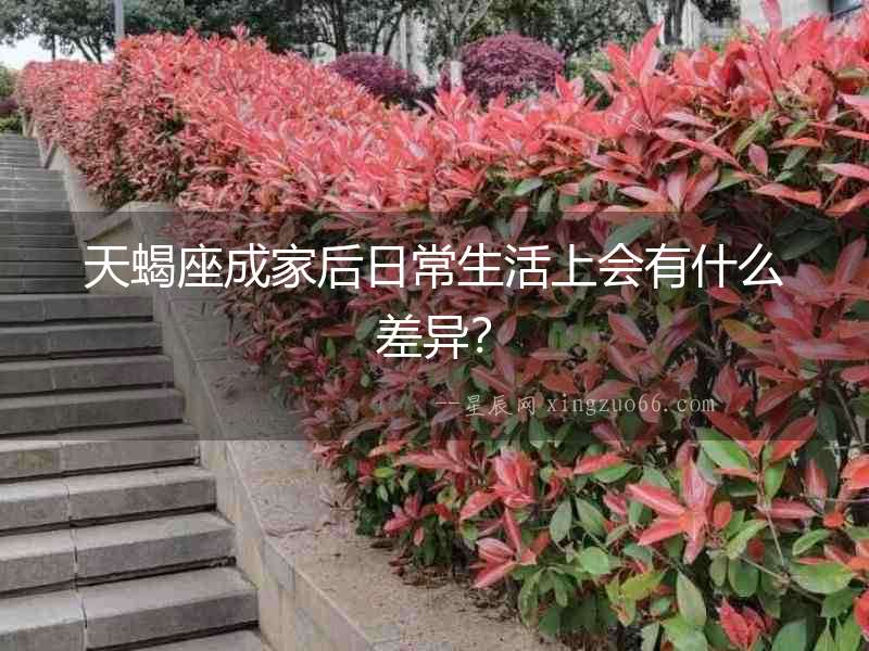 天蝎座成家后日常生活上會有什么差異？
