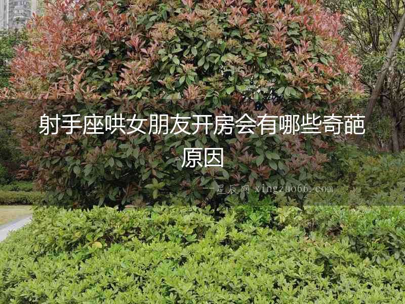 射手座哄女朋友開房會有哪些奇葩原因