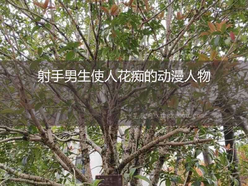 射手男生使人花癡的動(dòng)漫人物