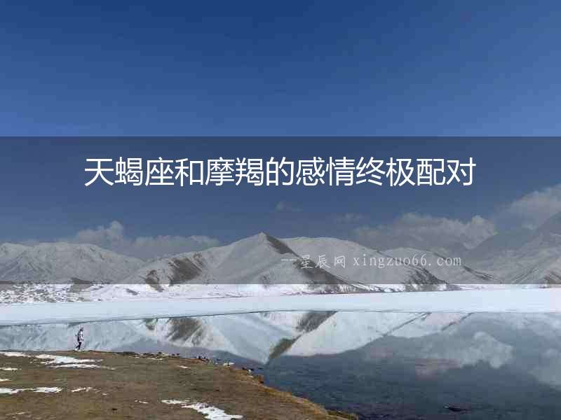 天蝎座和摩羯的感情終極配對(duì)