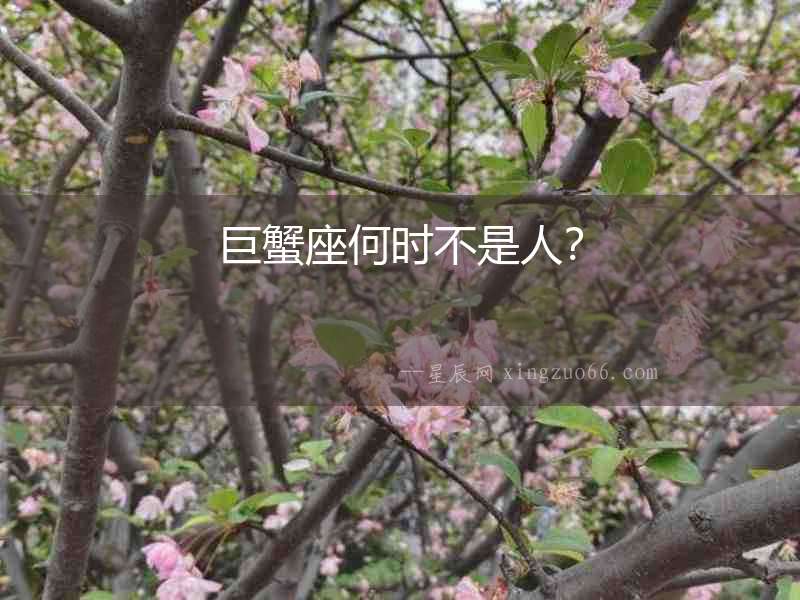 巨蟹座何時不是人？