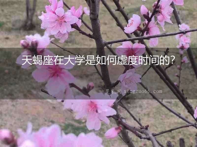 天蝎座在大學是如何虛度時間的？