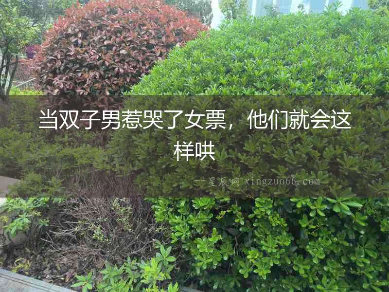當雙子男惹哭了女票，他們就會這樣哄