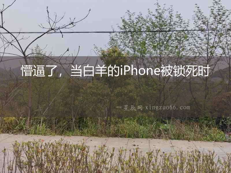懵逼了，當(dāng)白羊的iPhone被鎖死時