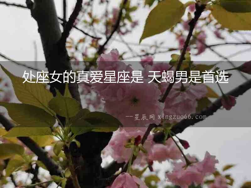 處座女的真愛(ài)星座是 天蝎男是首選