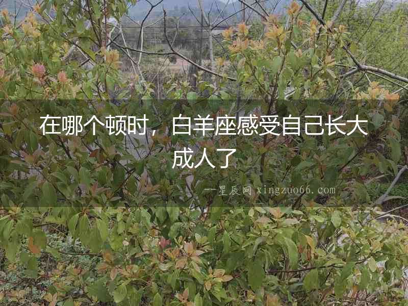 在哪個頓時，白羊座感受自己長大成人了