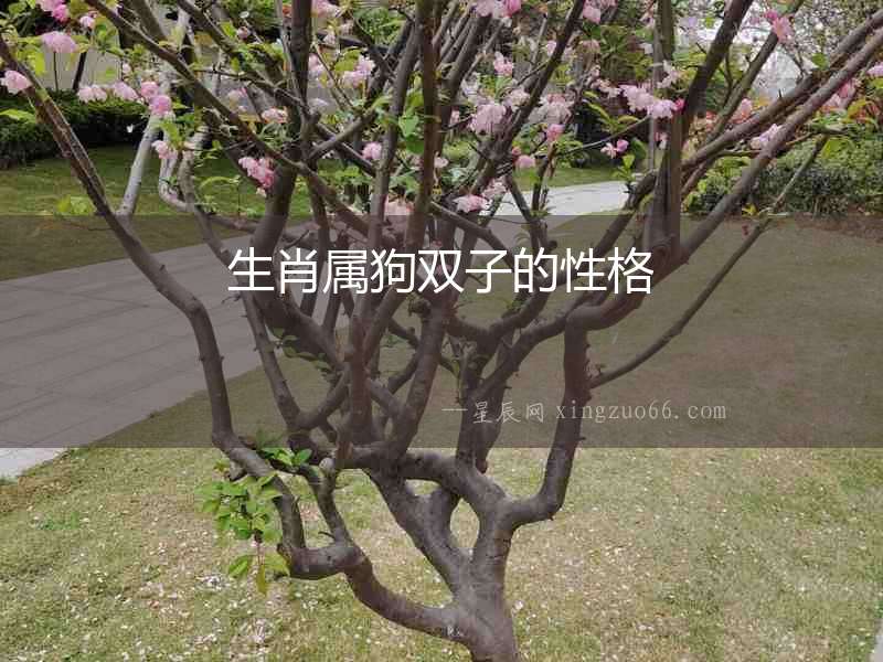 生肖屬狗雙子的性格