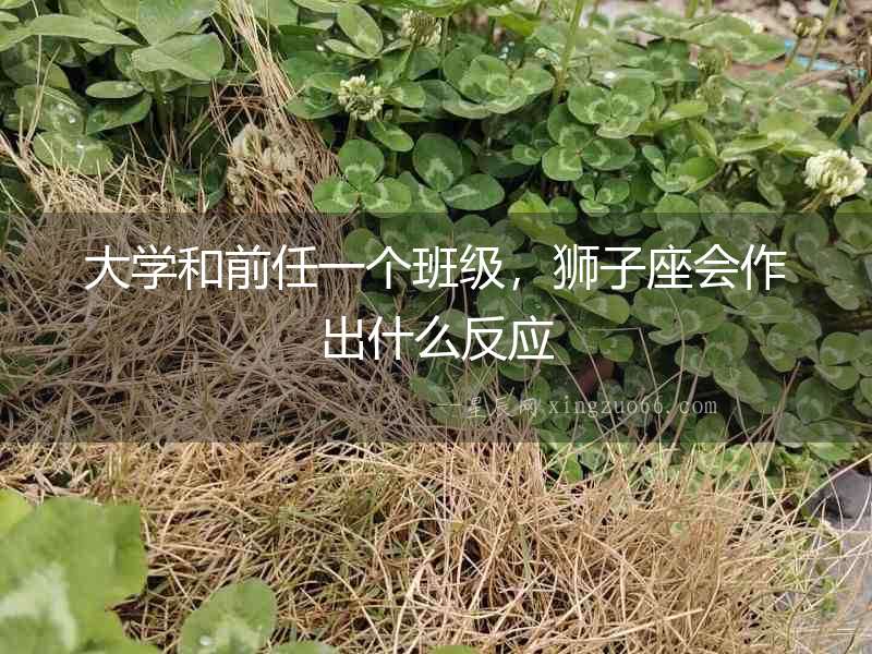 大學和前任一個班級，獅子座會作出什么反應