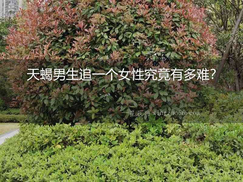 天蝎男生追一個女性究竟有多難？