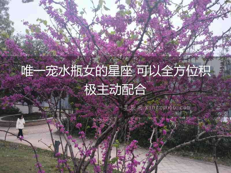 唯一寵水瓶女的星座 可以全方位積極主動配合