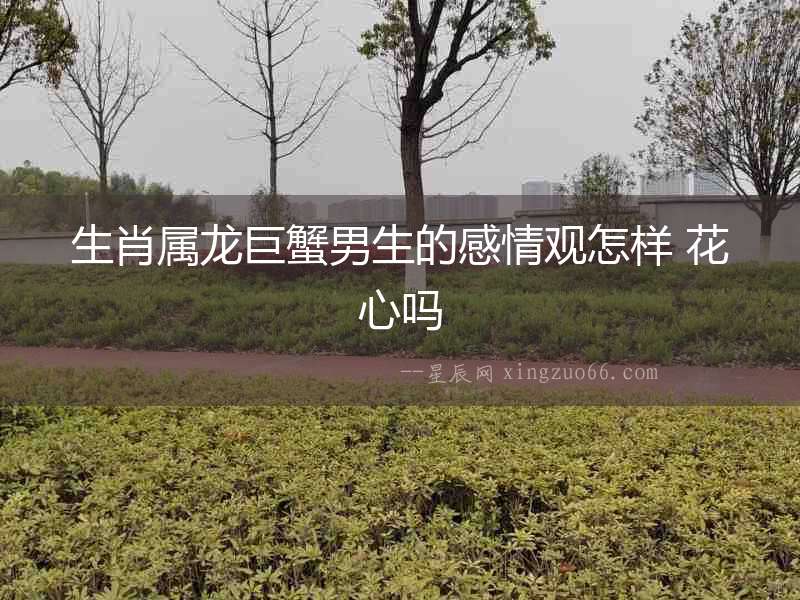 生肖屬龍巨蟹男生的感情觀怎樣 花心嗎
