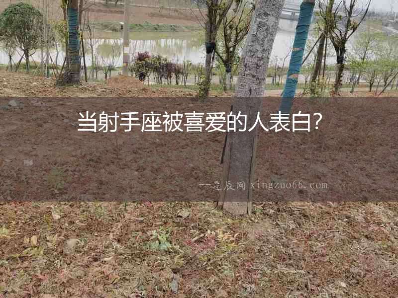 當射手座被喜愛的人表白？