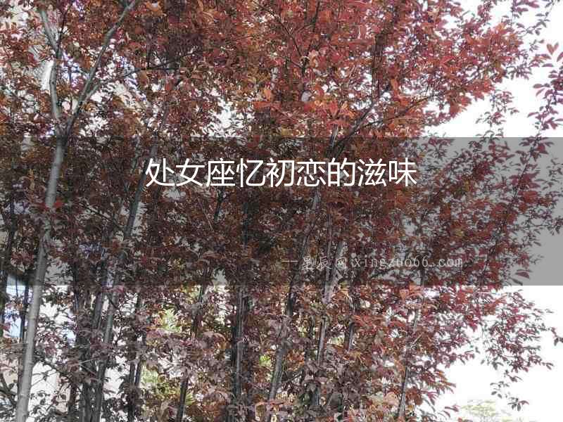 處女座憶初戀的滋味