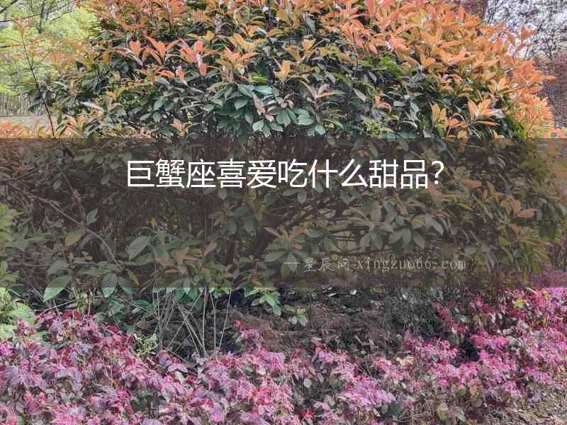 巨蟹座喜愛吃什么甜品？