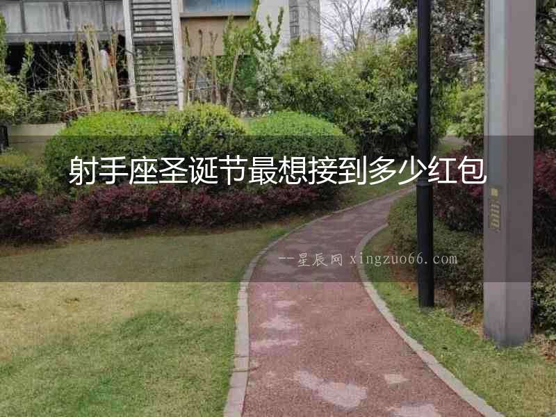 射手座圣誕節最想接到多少紅包