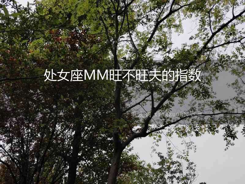 處女座MM旺不旺夫的指數
