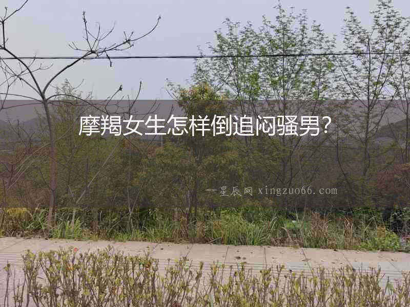 摩羯女生怎樣倒追悶騷男？