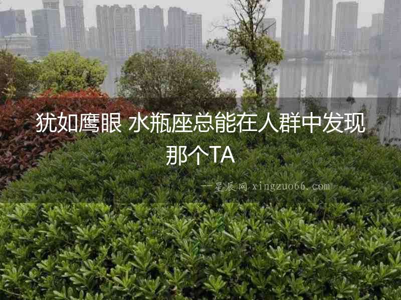 猶如鷹眼 水瓶座總能在人群中發現那個TA
