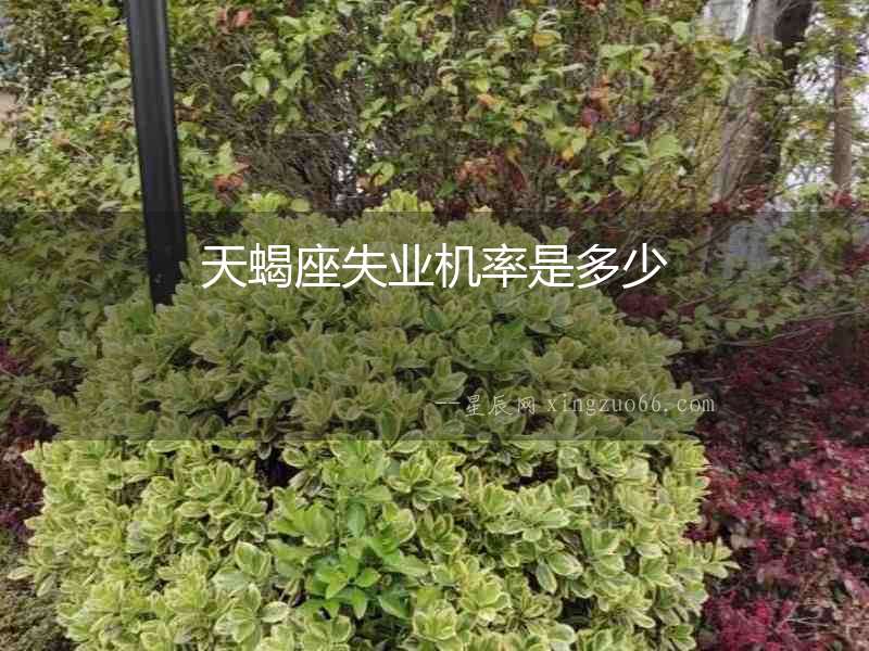 天蝎座失業機率是多少