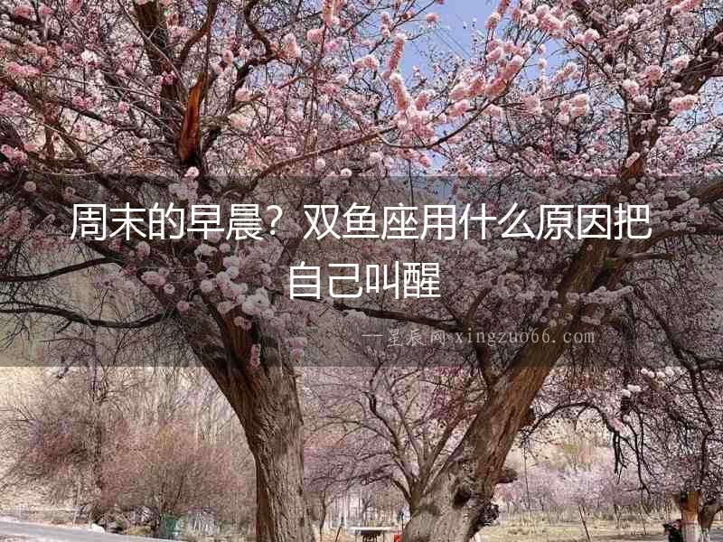 周末的早晨？雙魚(yú)座用什么原因把自己叫醒