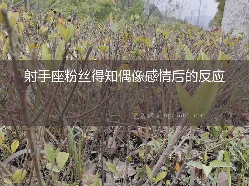 射手座粉絲得知偶像感情后的反應(yīng)