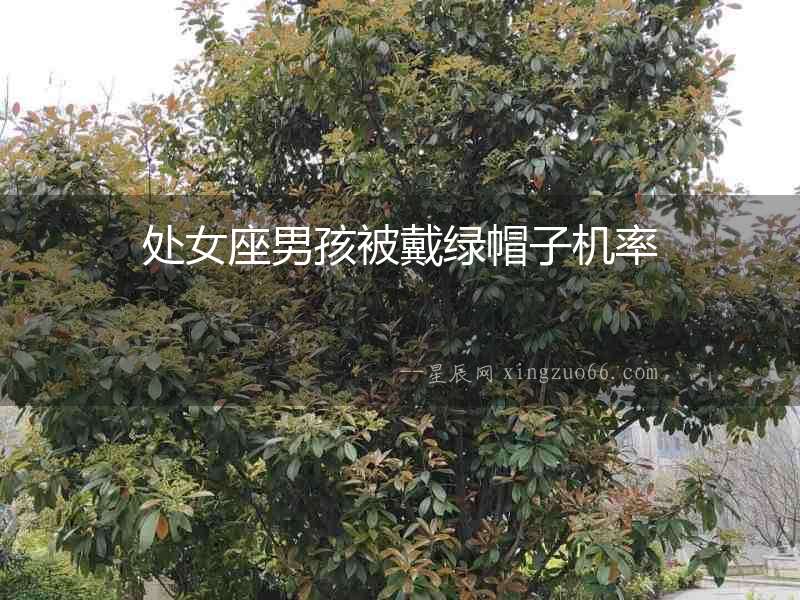 處女座男孩被戴綠帽子機率
