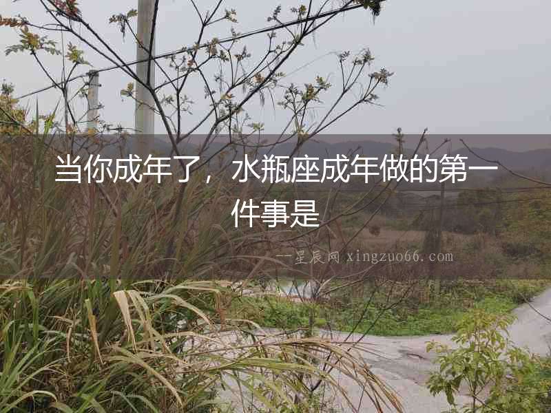 當你成年了，水瓶座成年做的第一件事是