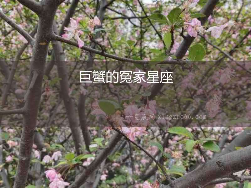 巨蟹的冤家星座