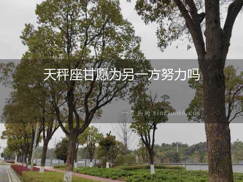 天秤座甘愿為另一方努力嗎