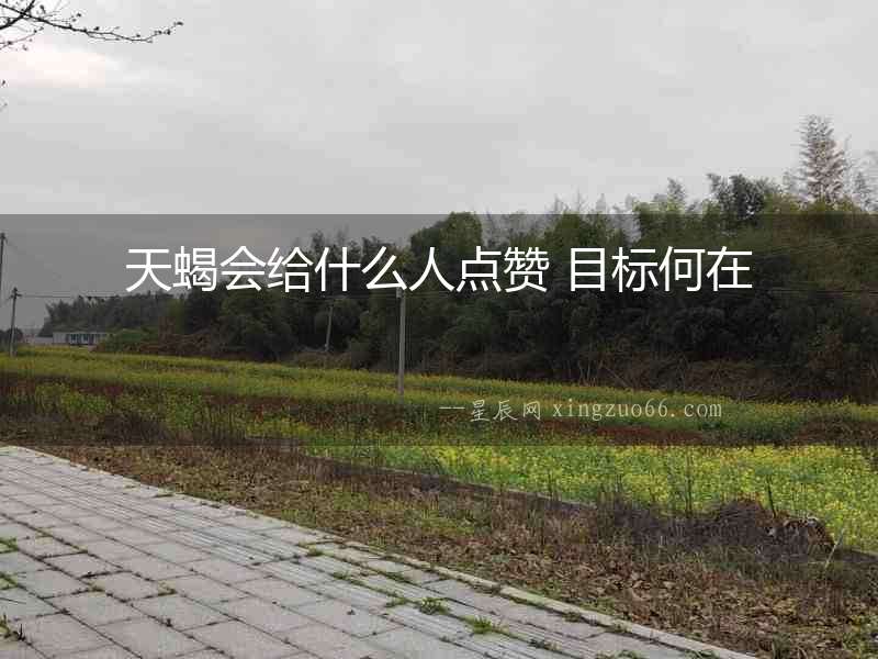 天蝎會給什么人點贊 目標何在