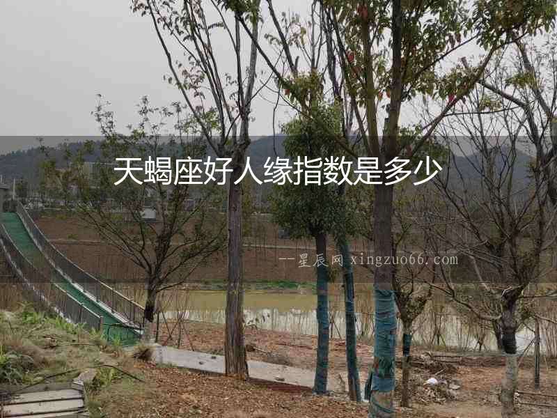 天蝎座好人緣指數(shù)是多少
