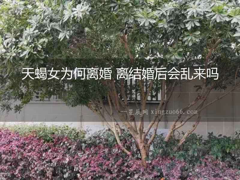 天蝎女為何離婚 離結婚后會亂來嗎