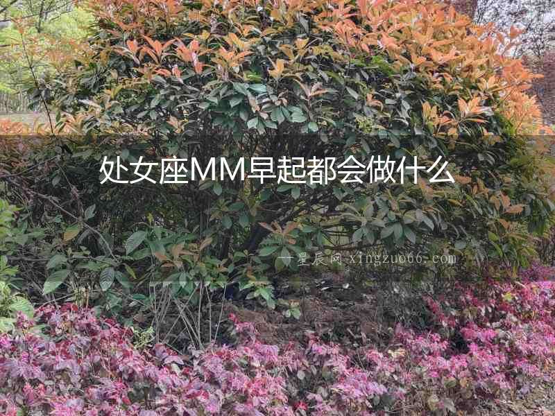 處女座MM早起都會做什么
