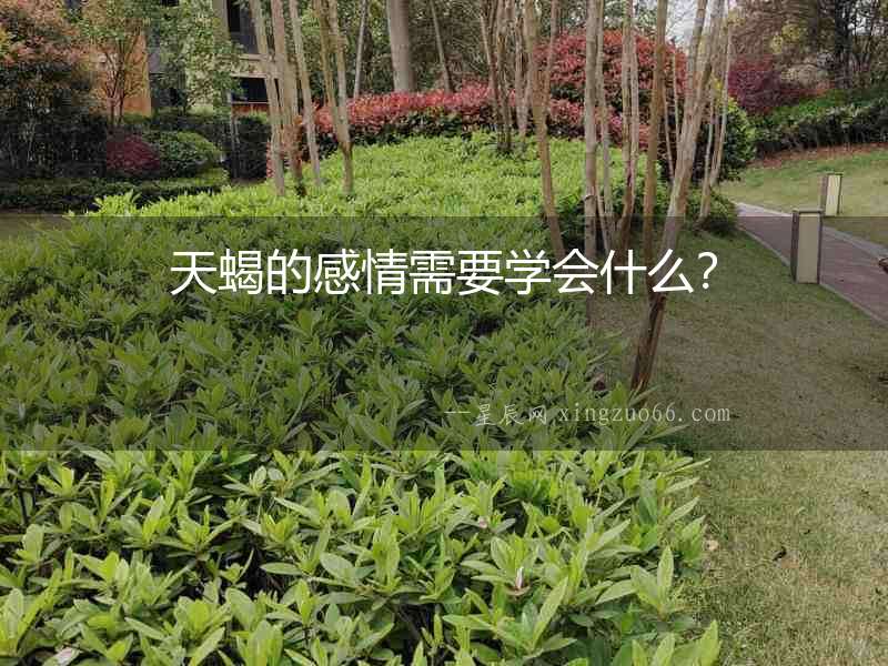 天蝎的感情需要學(xué)會(huì)什么？