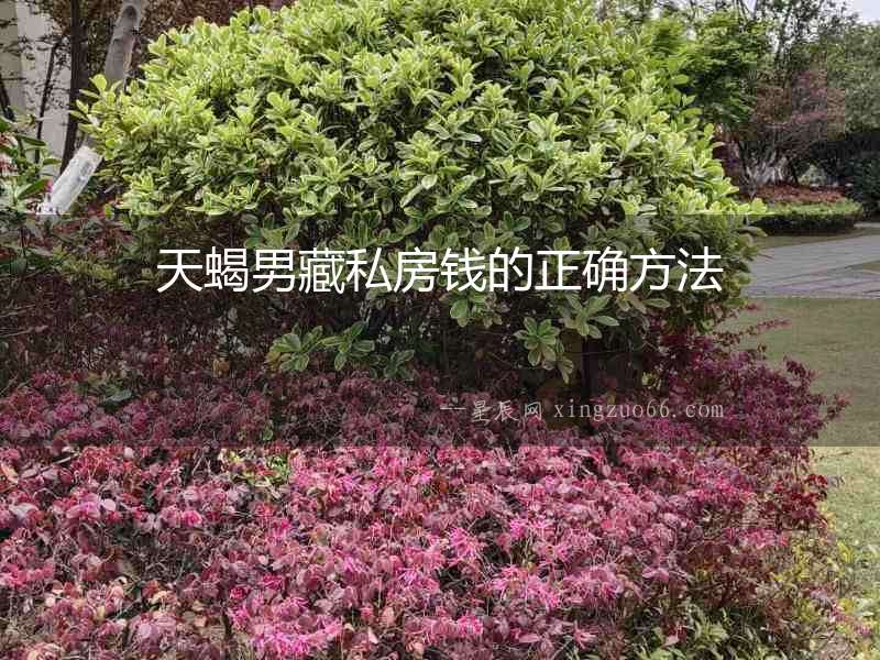 天蝎男藏私房錢的正確方法