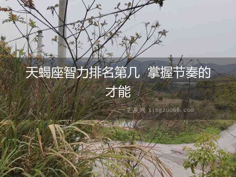 天蝎座智力排名第幾  掌握節奏的才能