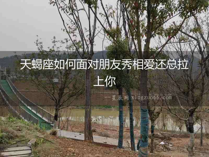 天蝎座如何面對朋友秀相愛還總拉上你