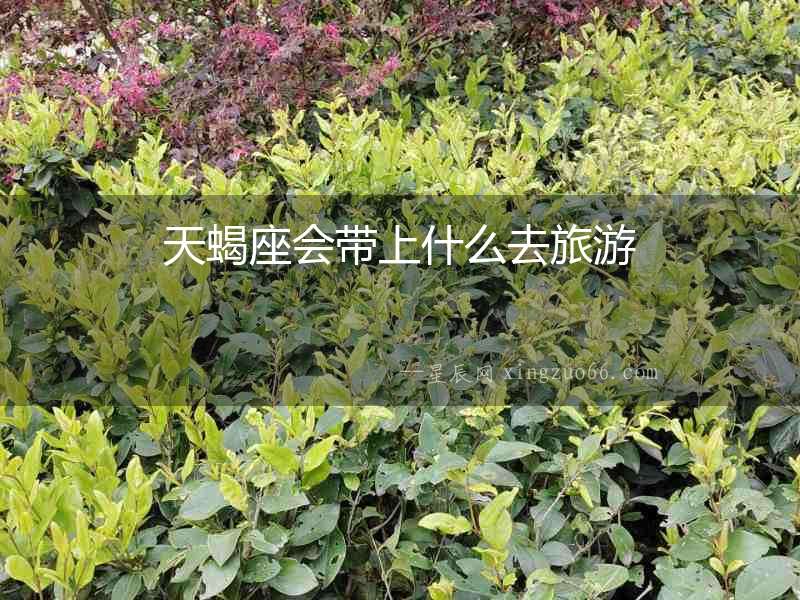 天蝎座會帶上什么去旅游