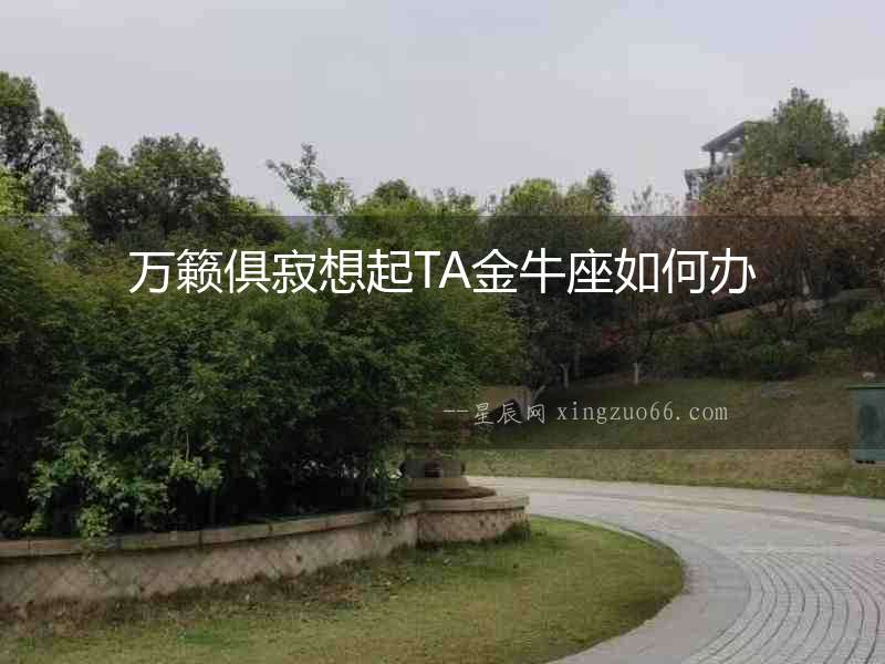 萬籟俱寂想起TA金牛座如何辦