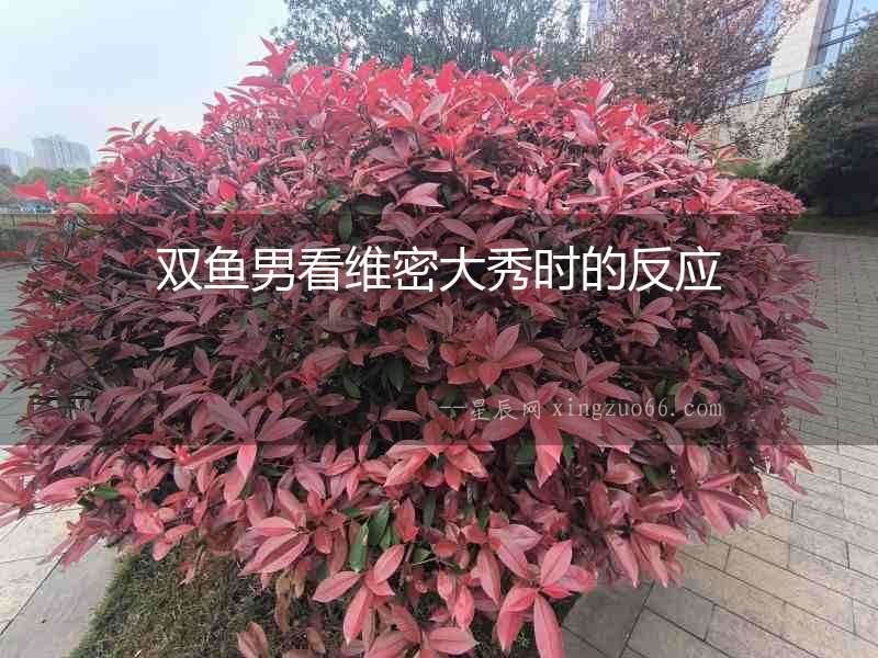 雙魚(yú)男看維密大秀時(shí)的反應(yīng)
