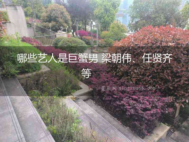 哪些藝人是巨蟹男 梁朝偉、任賢齊等  　　